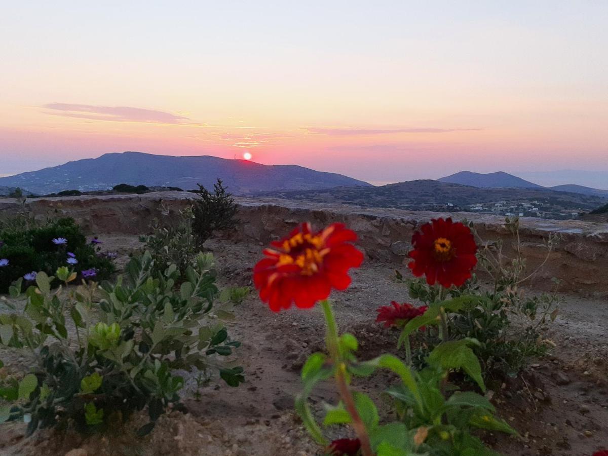 Villa Adeiata Adiata Екстериор снимка